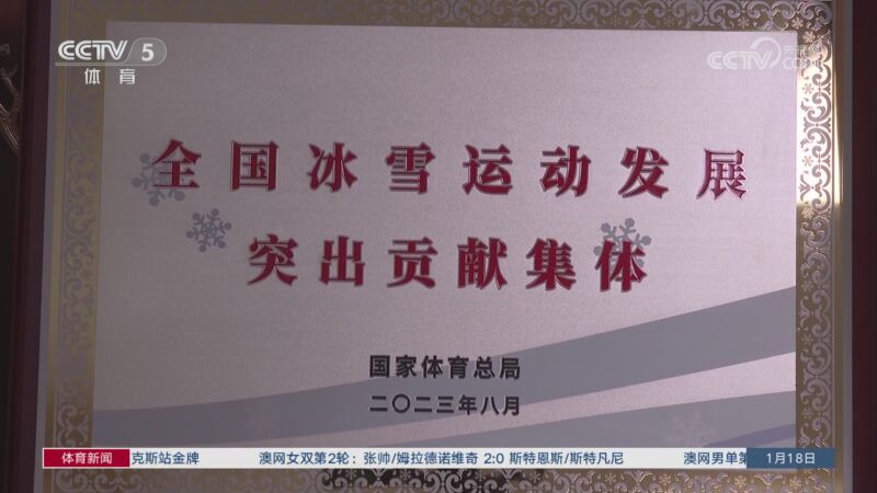 样引发了争