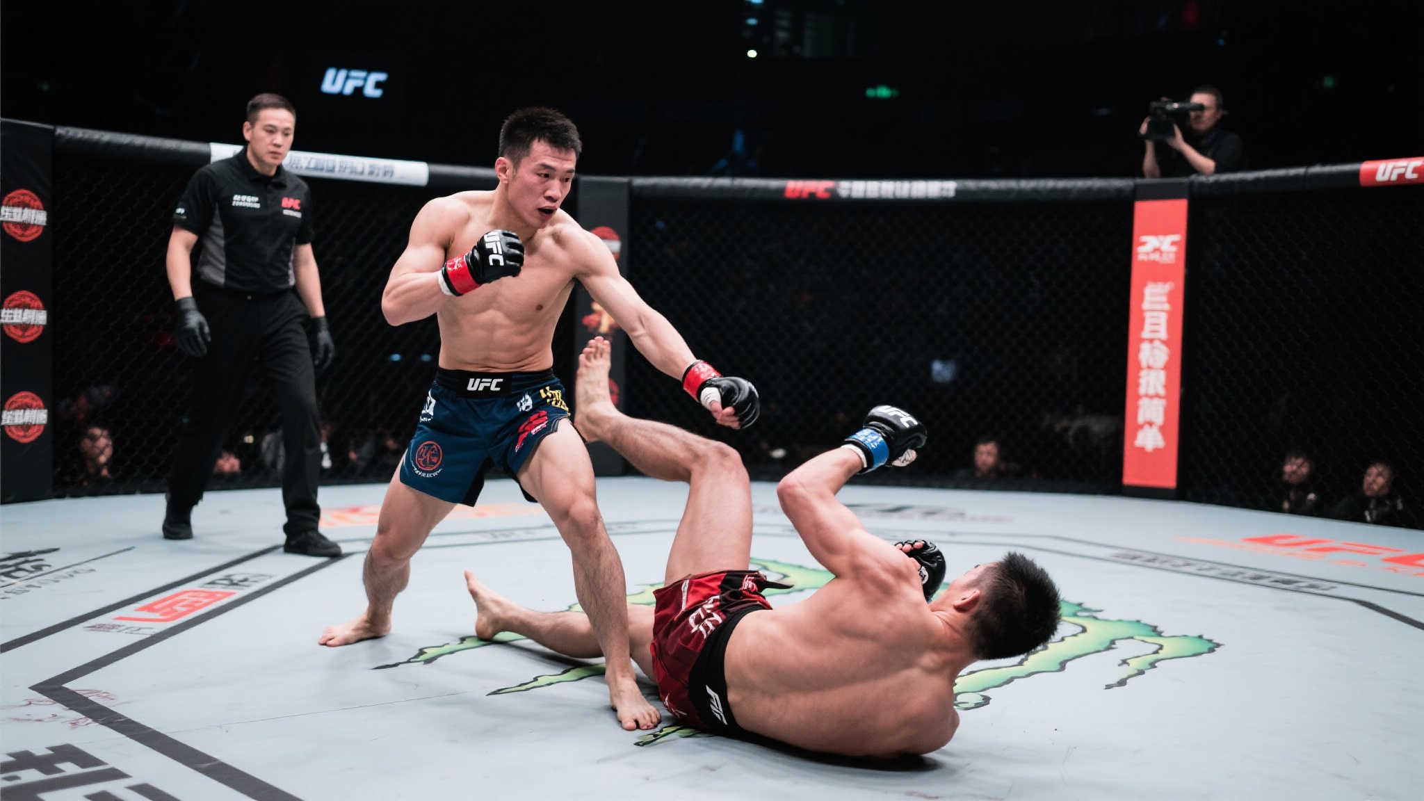 象这样的豪 象这样的豪