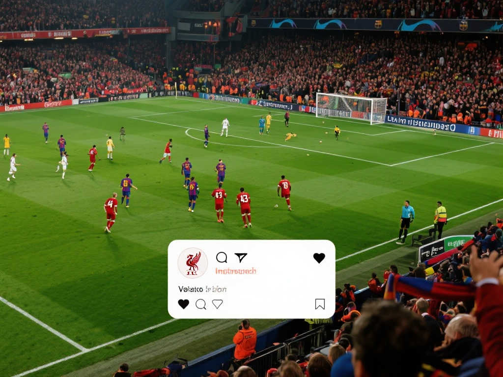 的比赛态度 的比赛态度