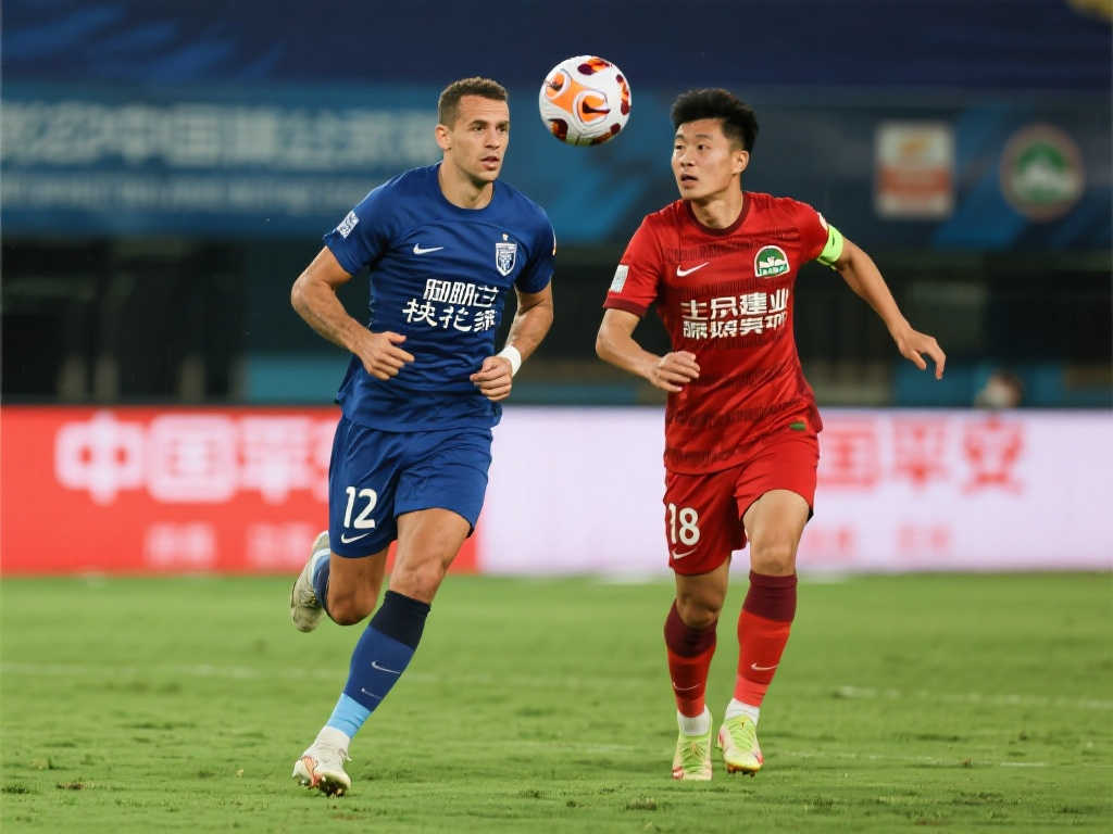 以便在未来 以便在未来